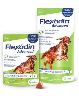 Gamma Flexadin Advanced cane
