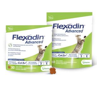 Gamma Flexadin Advanced gatto