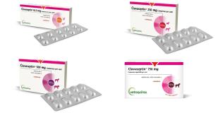 clavaseptin gruppo
