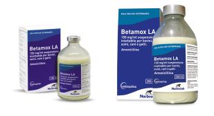 betamox