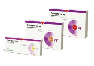 Cefaseptin