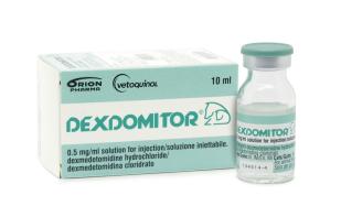 dexdomitor