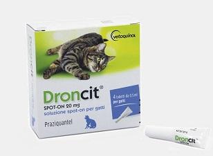 droncit spot on grey