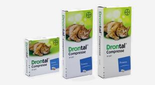 drontal gatto