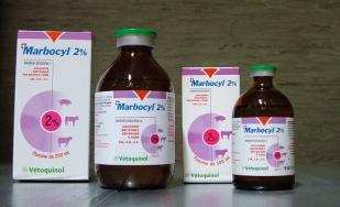 matbocyl 2 completo