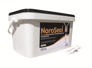 noroseal cestello